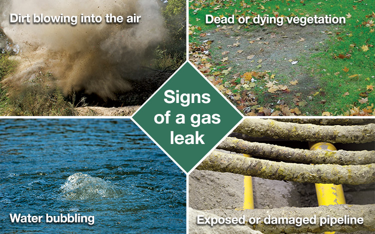 Signs of a gas leak